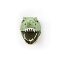 Wild & Soft - kop - hendrik de T-rex