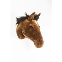 Wild & Soft - kop - scarlett het paard