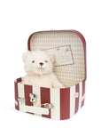 Bt Chaps - frederick the traveller bear in box