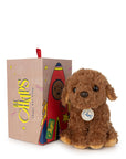 Bt Chaps - stacy the labradoodle in box