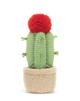 Jellycat - amuseables - moon cactus