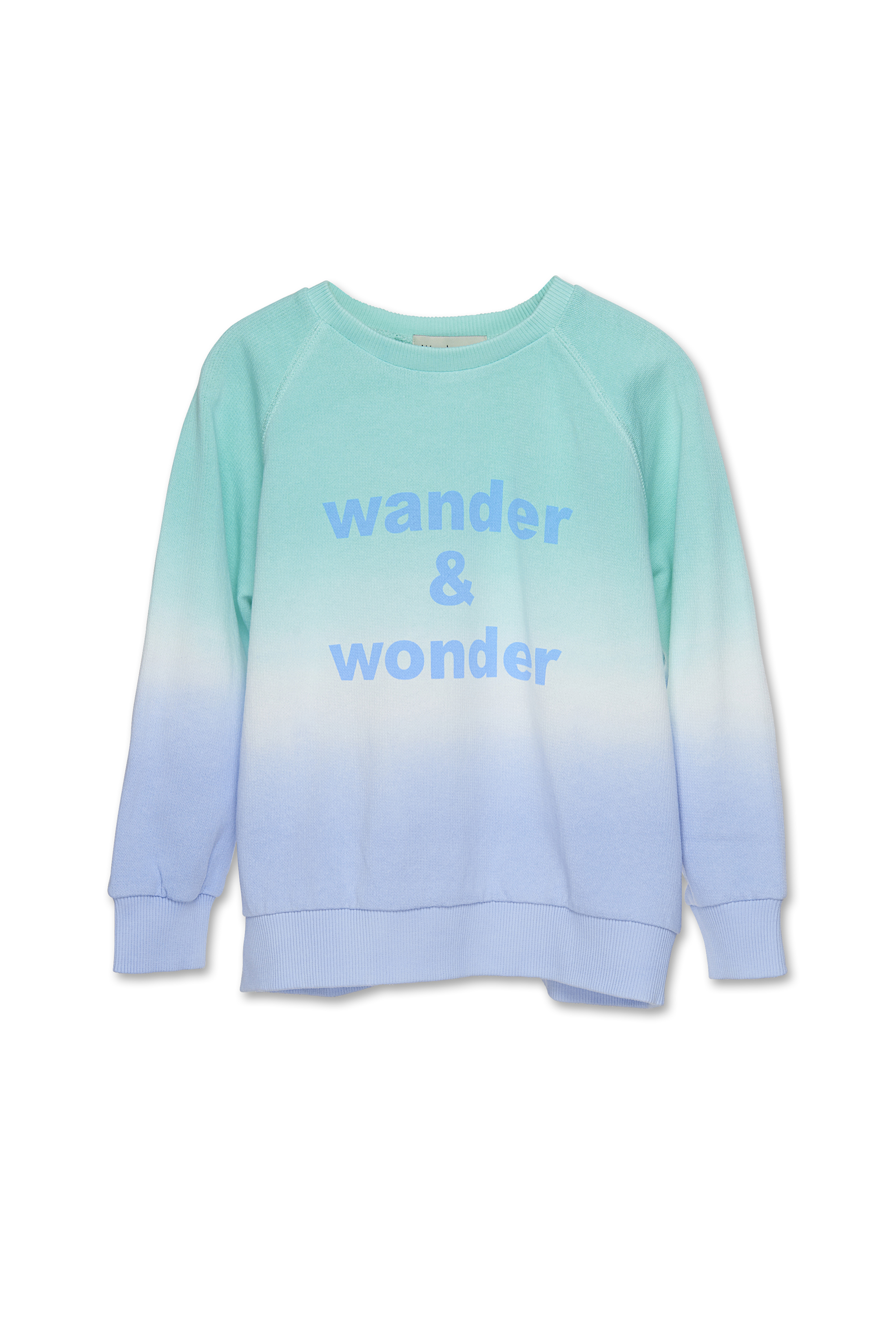 Wander and Wonder - ombre sweatshirt - arctic