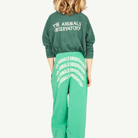 The animals observatory - Anteater kids t-shirt - Dark green
