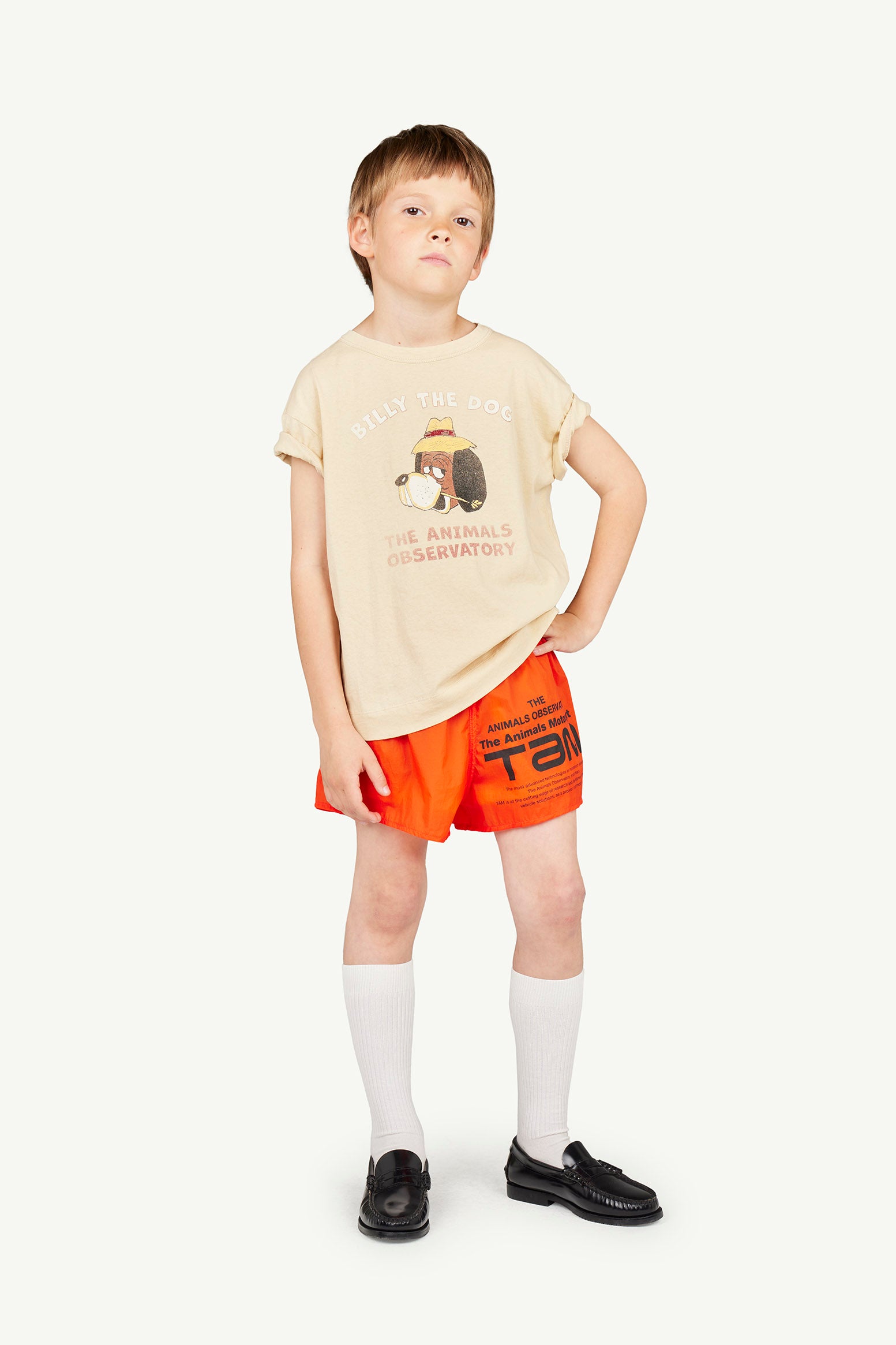The Animals Observatory - rooster - kids t-shirt - beige