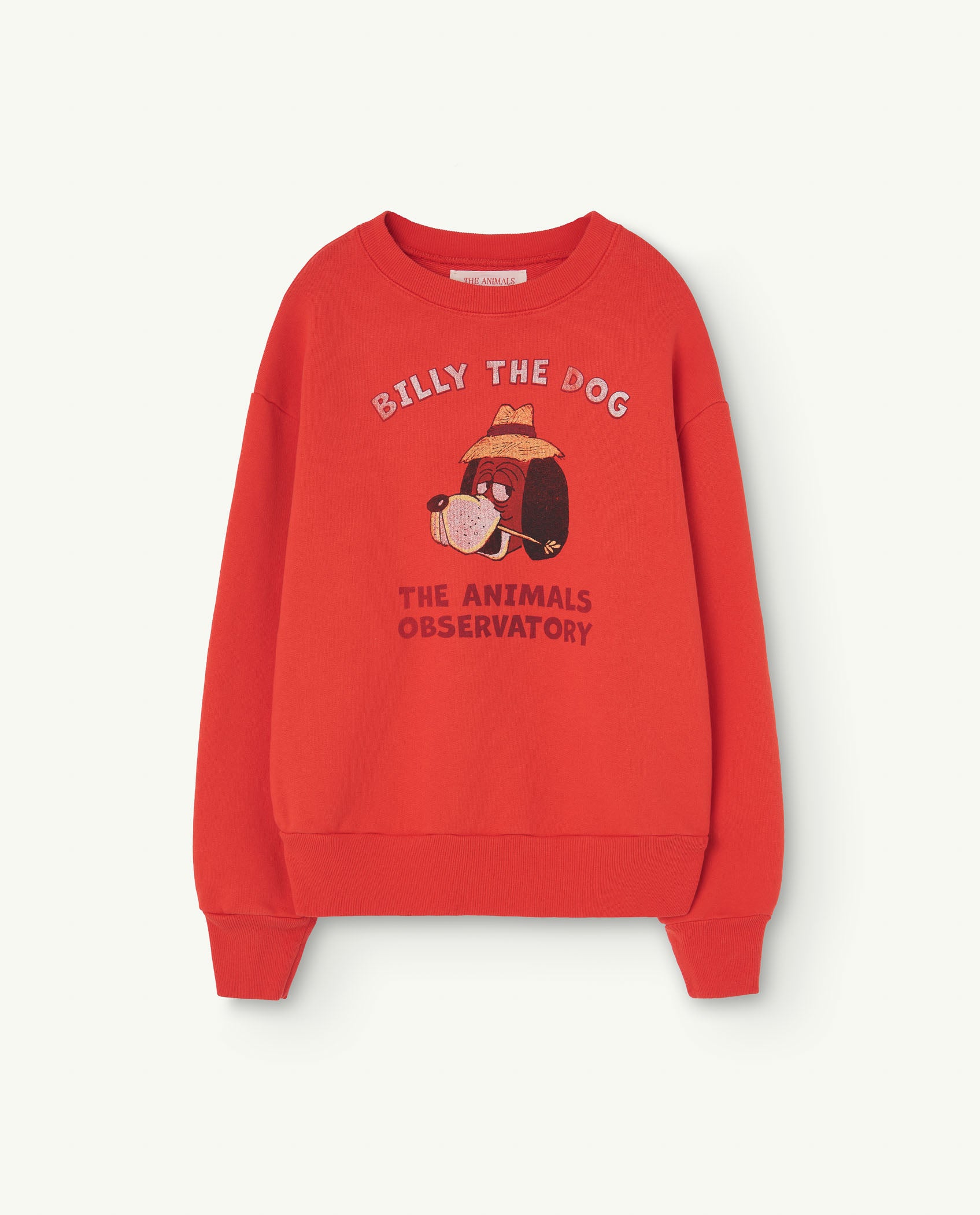 The animals observatory - Bear kids sweater - red