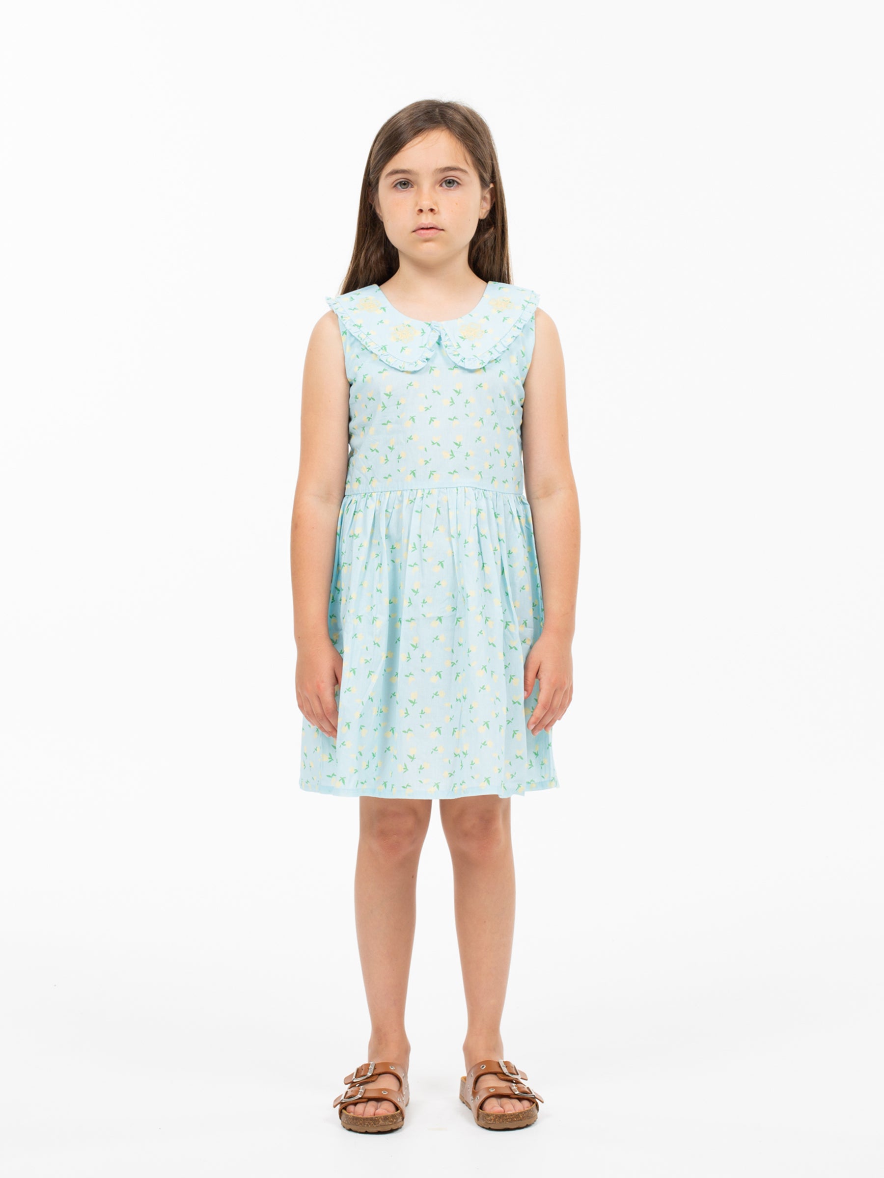 Wander and Wonder - phyllis dress - icing floral