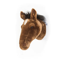 Wild & Soft - kop - scarlett het paard