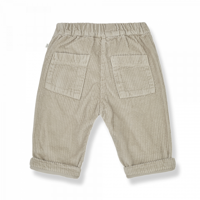 1+ in the family - bart - corduroy pants - taupe