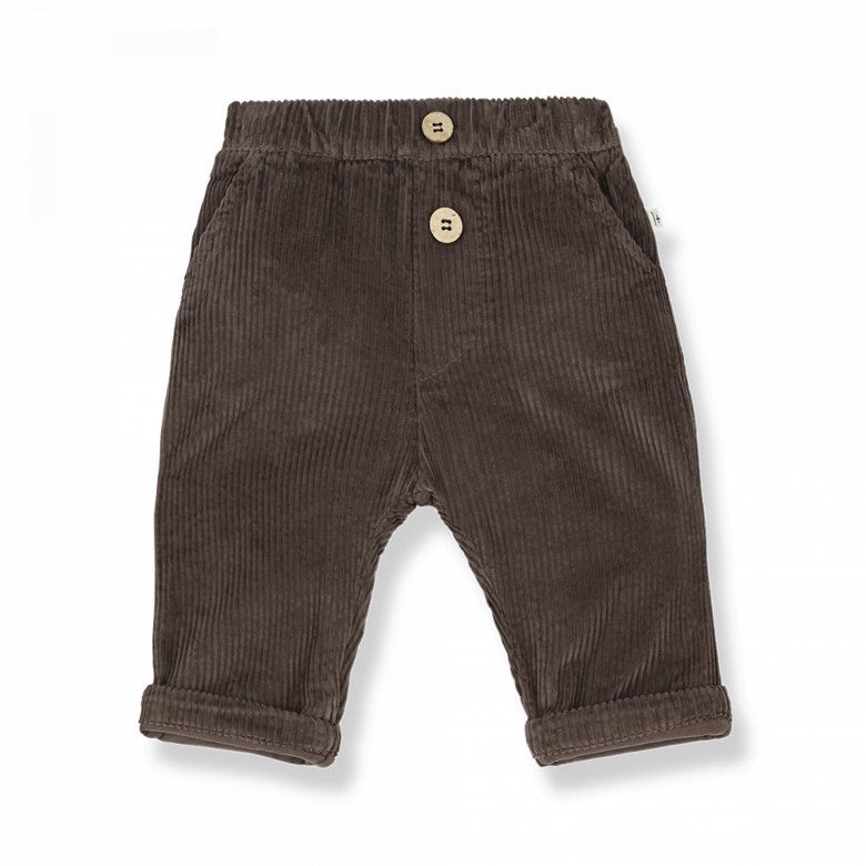 1+ in the family - bart - corduroy pants - earth
