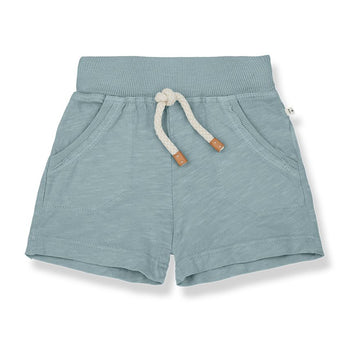 1+ in the family - louis - shorts - nantucket