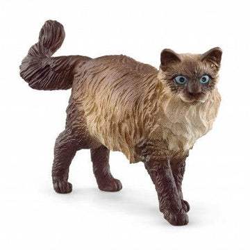 Schleich - Ragdoll Kat - 13940 - Hyggekids